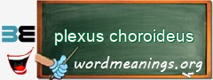 WordMeaning blackboard for plexus choroideus